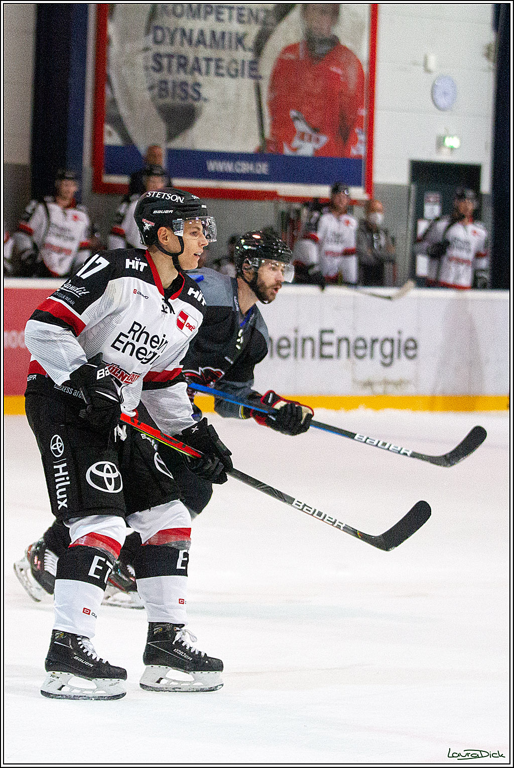 PENNY DEL;  Koelner Haie - Aalborg Pirates; Koeln, 21.08.2021